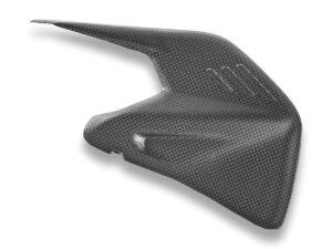 Ducabike Swingarm Protector for DUCATI Panigale V4 - Streetfighter V4 (2025)