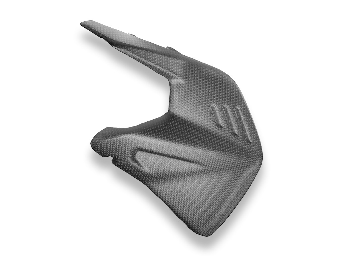 Ducabike Swingarm Protector for DUCATI Panigale V4 - Streetfighter V4 (2025) - Image 3